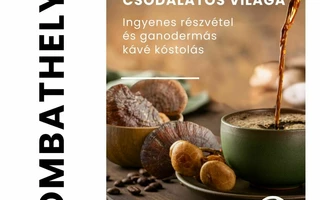 ganoderma